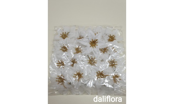 Kalėdinė gėlė. Pokelis