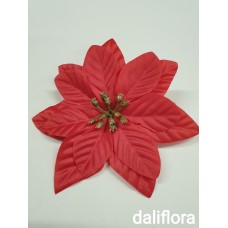 Kalėdinė gėlė Kalėdinė gėlė