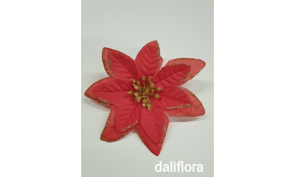Kalėdinė gėlė Kalėdinė gėlė