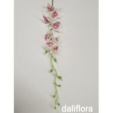 Tailandietiška smulkiažiedė orchidėja. Spalva balta su rožine