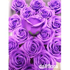 Muilo rožė. Spalva violetinė