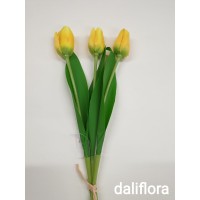 Tulpės, 3vnt. Spalva geltona