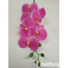 Orchidėja. Spalva ryškiai rožinė