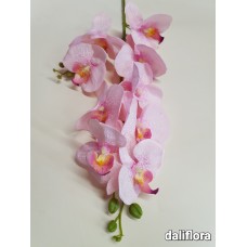 Orchidėja. Spalva rožinė 