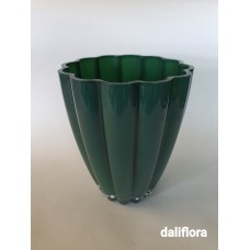 Stiklo vazonas - vaza