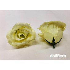 Rožių žiedai. Spalva žalsva
