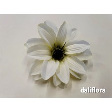 Jurginų žiedai. Spalva žalsva