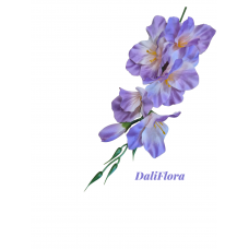 Kardeliai. Spalva švelniai violetinė