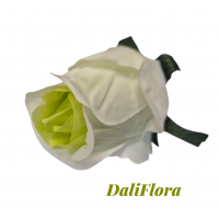 Rožių žiedai. Spalva balta