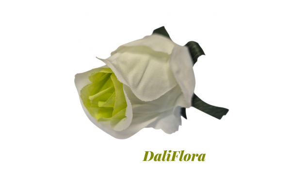 Rožių žiedai. Spalva balta
