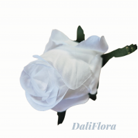 Rožių žiedai. Spalva balta