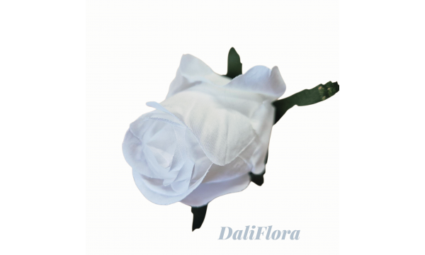 Rožių žiedai. Spalva balta