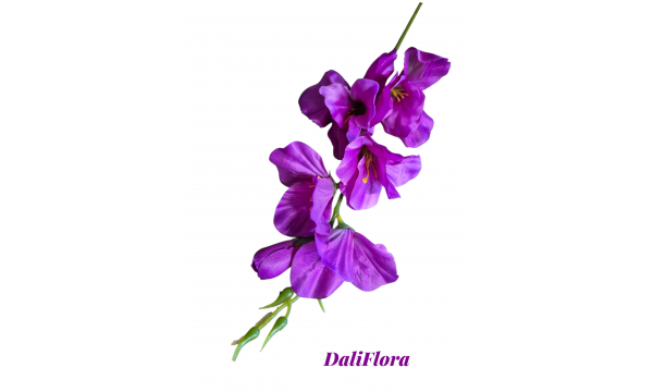 Kardeliai. Spalva rausva