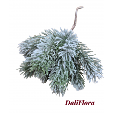 Kalėdinė šakelė Kalėdinė šakelė