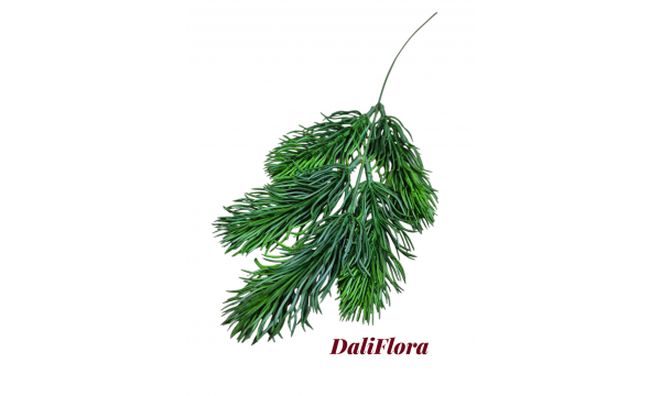 Kalėdinė šakelė Kalėdinė šakelė