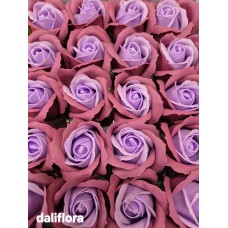 Muilo rožė. Dvispalvė Muilo rožė. Dvispalvė