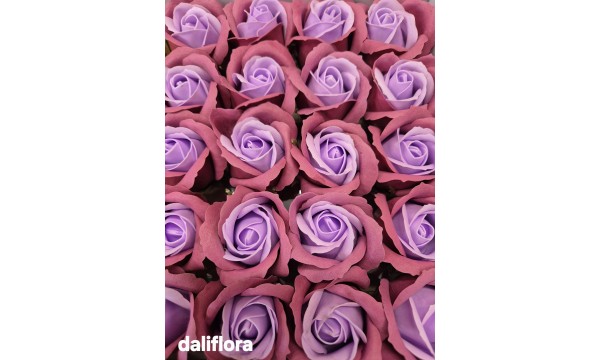 Muilo rožė. Dvispalvė Muilo rožė. Dvispalvė