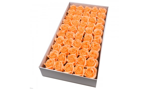 Muilo rožė. Spalva persikinė. 50vnt