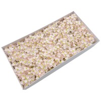 Muilo hortenzija. Spalva švelniai rožinė