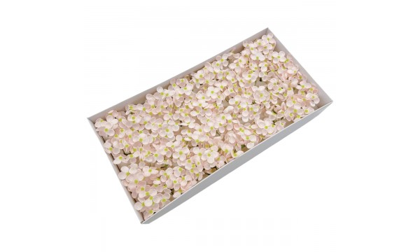 Muilo hortenzija. Spalva švelniai rožinė Muilo hortenzija. Spalva švelniai rožinė