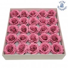 Muilo rožė. Spalva burgundiška Muilo rožė. Spalva burgundiška