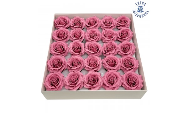 Muilo rožė. Spalva burgundiška Muilo rožė. Spalva burgundiška