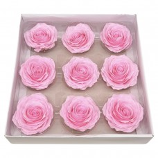 Muilo rožė. Spalva rožinė Muilo rožė. Spalva rožinė