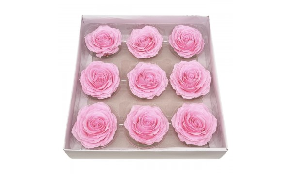 Muilo rožė. Spalva rožinė Muilo rožė. Spalva rožinė