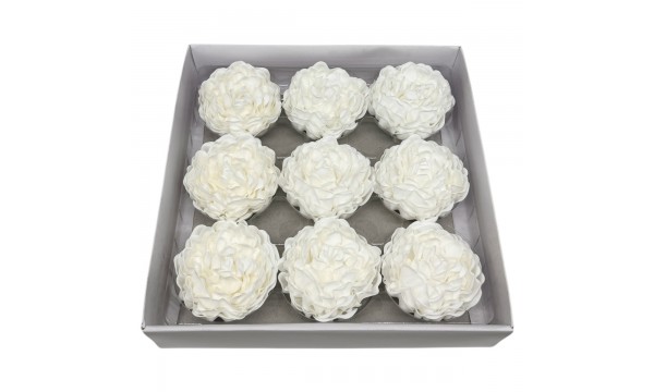 Muilo bijūninė rožė. Spalva balta Muilo bijūninė rožė. Spalva balta