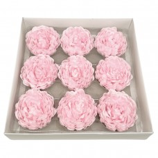 Muilo bijūninė rožė. Spalva rožinė Muilo bijūninė rožė. Spalva rožinė