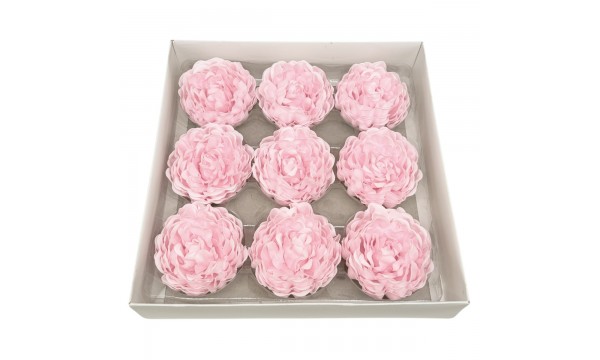 Muilo bijūninė rožė. Spalva rožinė