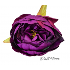 Bijūnų žiedai. Spalva Violetinė