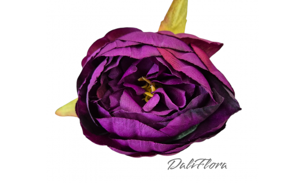 Bijūnų žiedai. Spalva Violetinė