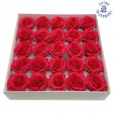 Muilo rožė. Spalva raudona