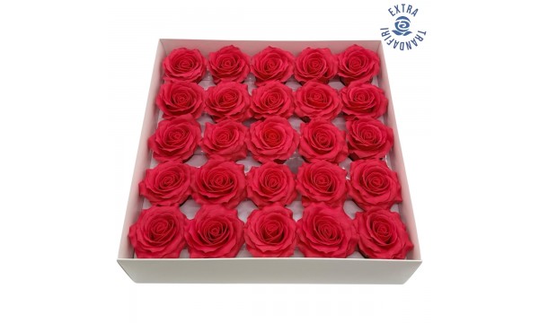 Muilo rožė. Spalva raudona