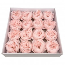 Muilo bijūnai. Spalva švelniai rožinė Muilo bijūnai. Spalva švelniai rožinė