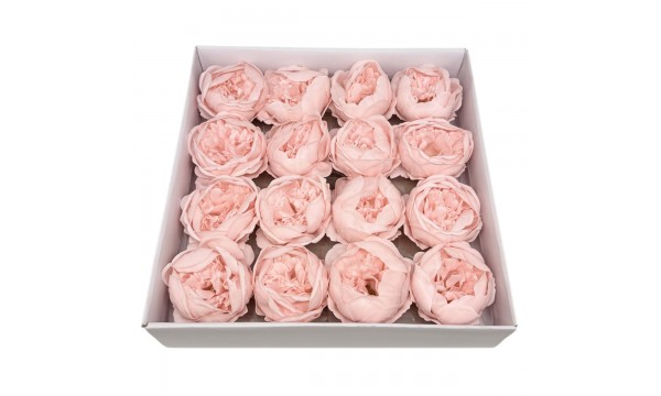 Muilo bijūnai. Spalva švelniai rožinė Muilo bijūnai. Spalva švelniai rožinė