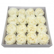 Muilo bijūnai. Spalva dramblio kaulo Muilo bijūnai. Spalva dramblio kaulo