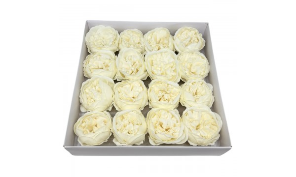 Muilo bijūnai. Spalva dramblio kaulo Muilo bijūnai. Spalva dramblio kaulo