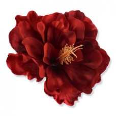 Hibiskuso žiedai. Spalva samaninė
