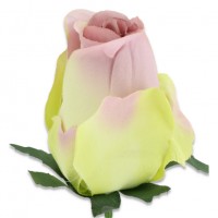 Rožių žiedai. Spalva violetinė